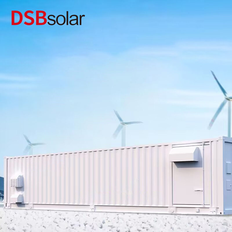 DSBsolar Customized Container Industrial And Commercial Energy Storage System Solar Photovoltaic Energy Storage Battery Lithium Iron Phosphate Battery Storage Cabinet