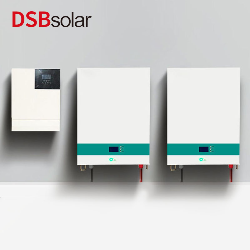 DSBsolar 51.2V100Ah Wall-Mounted Home Energy Storage Solar Photovoltaic Power Generation Lithium Iron Phosphate 5Kwh Energy Storage Lithium Battery