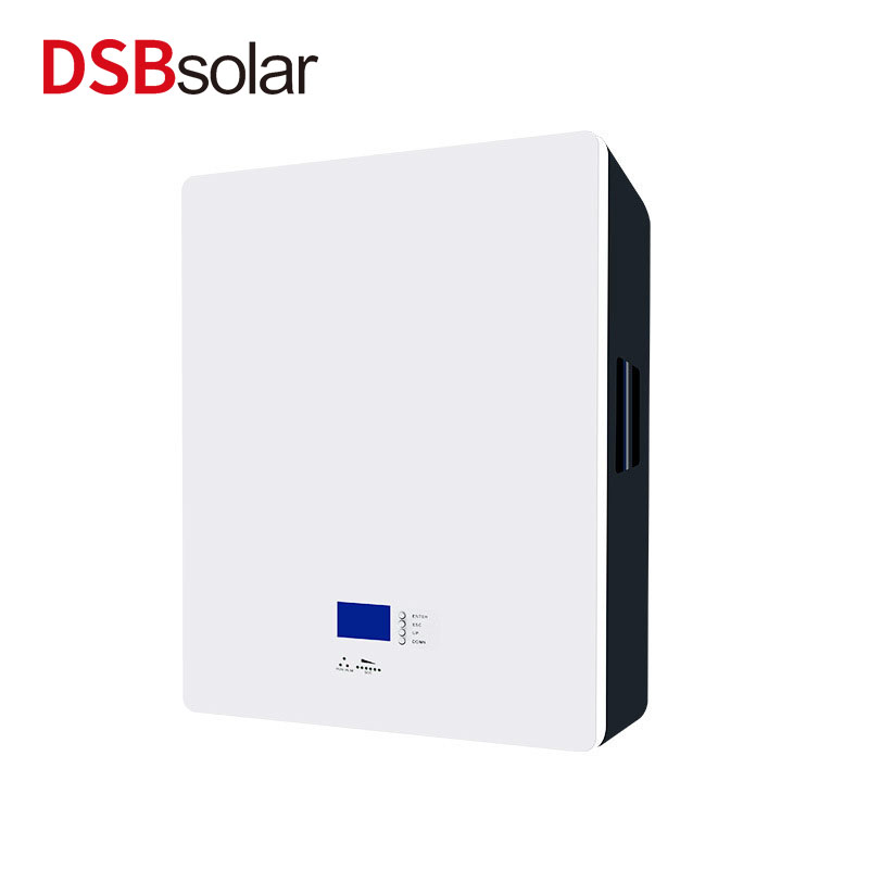 DSBsolar 51.2V100Ah Wall-Mounted Home Energy Storage Solar Photovoltaic Power Generation Lithium Iron Phosphate 5Kwh