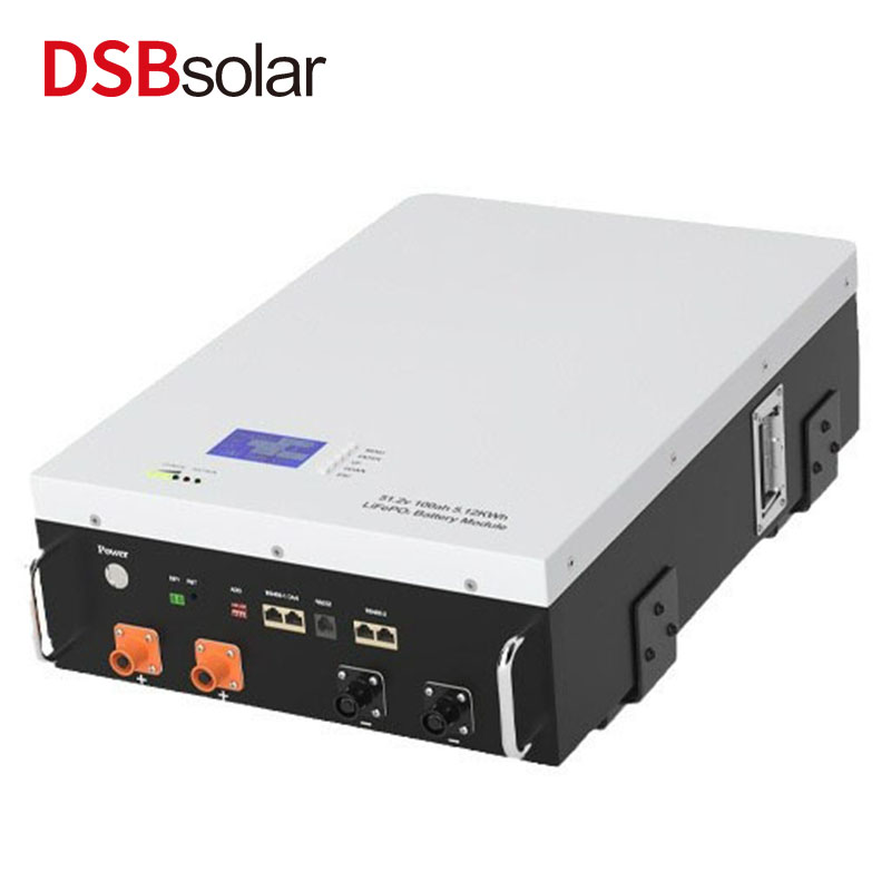 DSBsolar 48V100Ah Home Energy Storage Battery Lithium Iron Phosphate 4.8Kwh Lithium Battery Wall Mounted Solar Cell