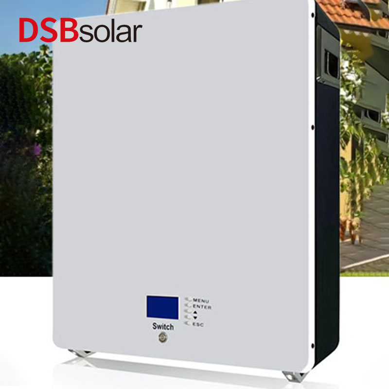 DSBsolar 5Kwh Household Lithium Iron Phosphate Battery Home Photovoltaic Energy Storage 51.2V100Ah Wall-Mounted Lithium Battery