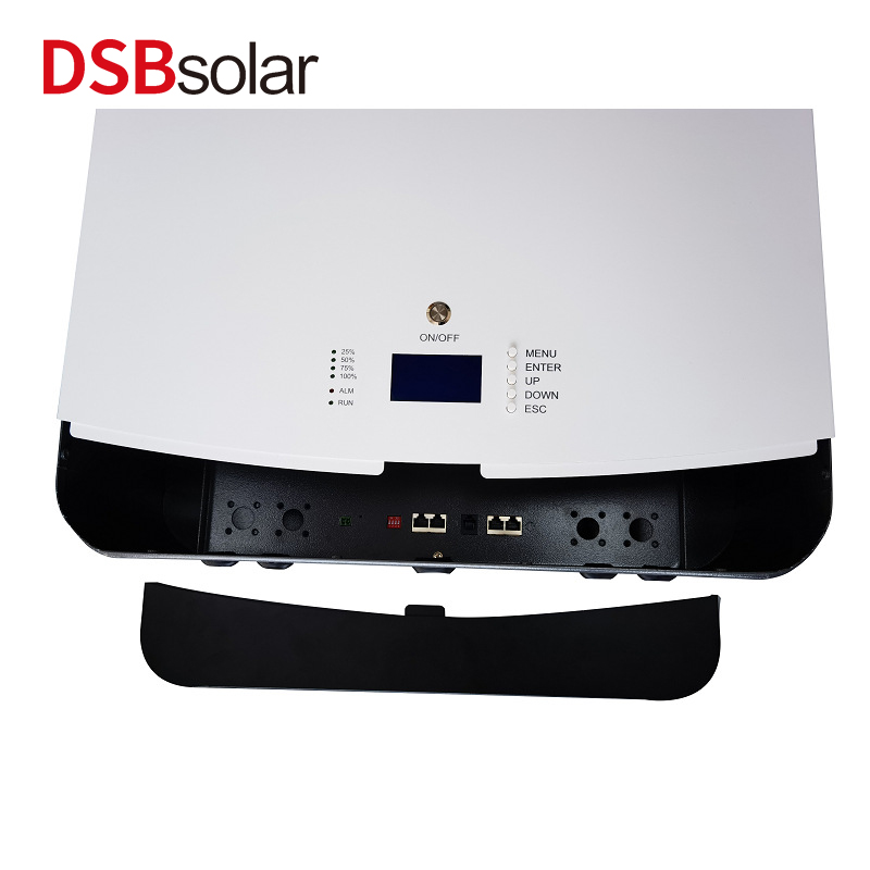 DSBsolar Wall-Mounted Home Energy Storage Power Supply 10000Wh Large Capacity Lithium Iron Phosphate 48V51.2V Rechargeable Lithium Battery Pack