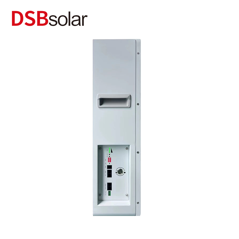 DSBsolar Home 24V100Ah Wall-Mounted Energy Storage Lithium-Ion Lithium Iron Phosphate Battery Export Power Wall Solar Pv