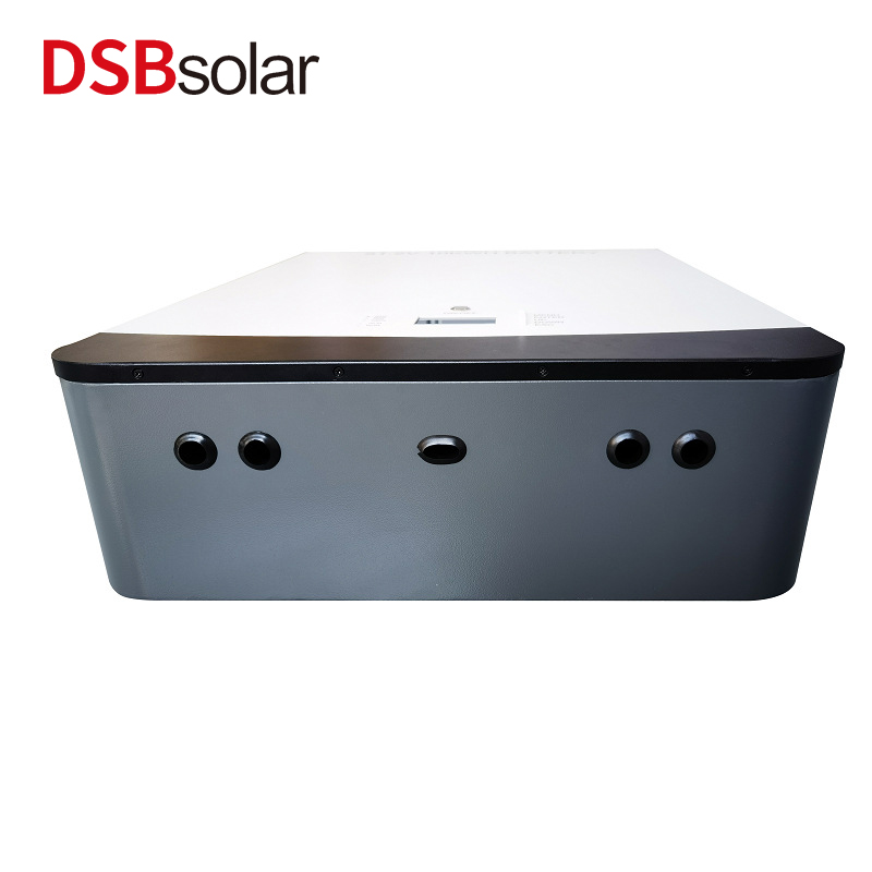 DSBsolar Wall-Mounted Home Energy Storage Power Supply 10000Wh Large Capacity Lithium Iron Phosphate 48V51.2V Rechargeable Lithium Battery Pack