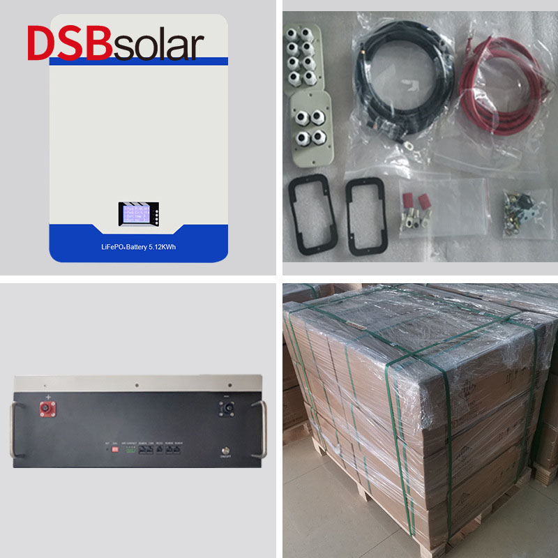 DSBsolar Customized Solar Battery 51.2V/100-200Ah Home Wall Mounted Energy Storage Battery Can Be Parallel Power Supply